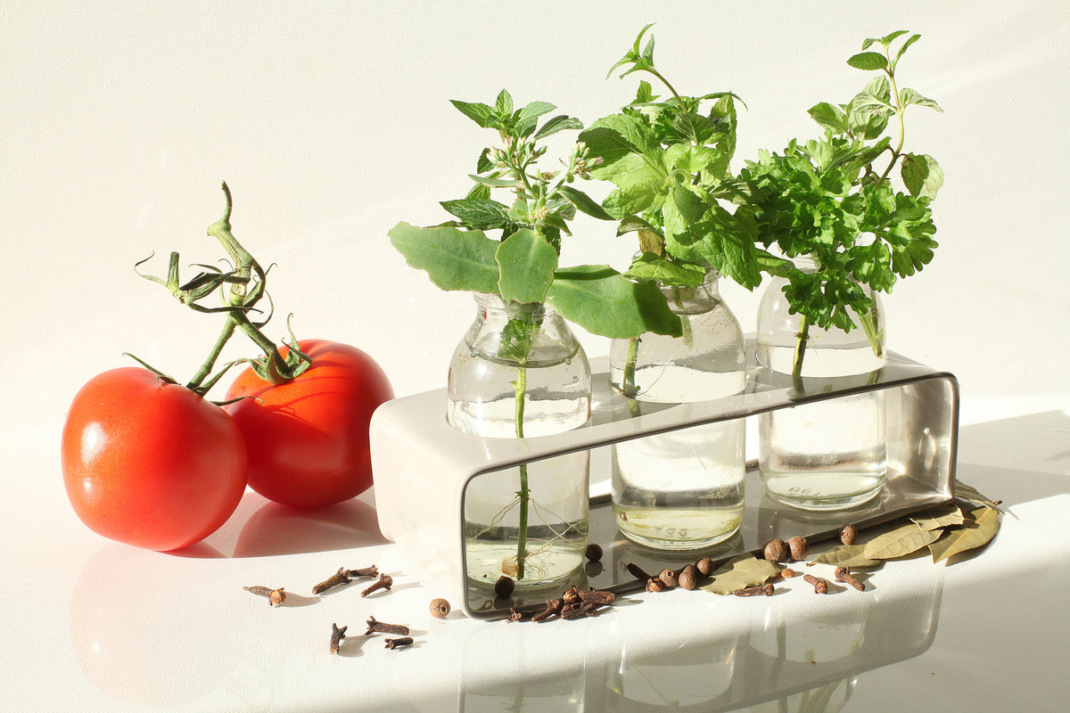 framedposter-print-tomatoes-and-herbs