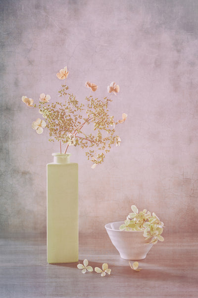 poster-print-morning-light