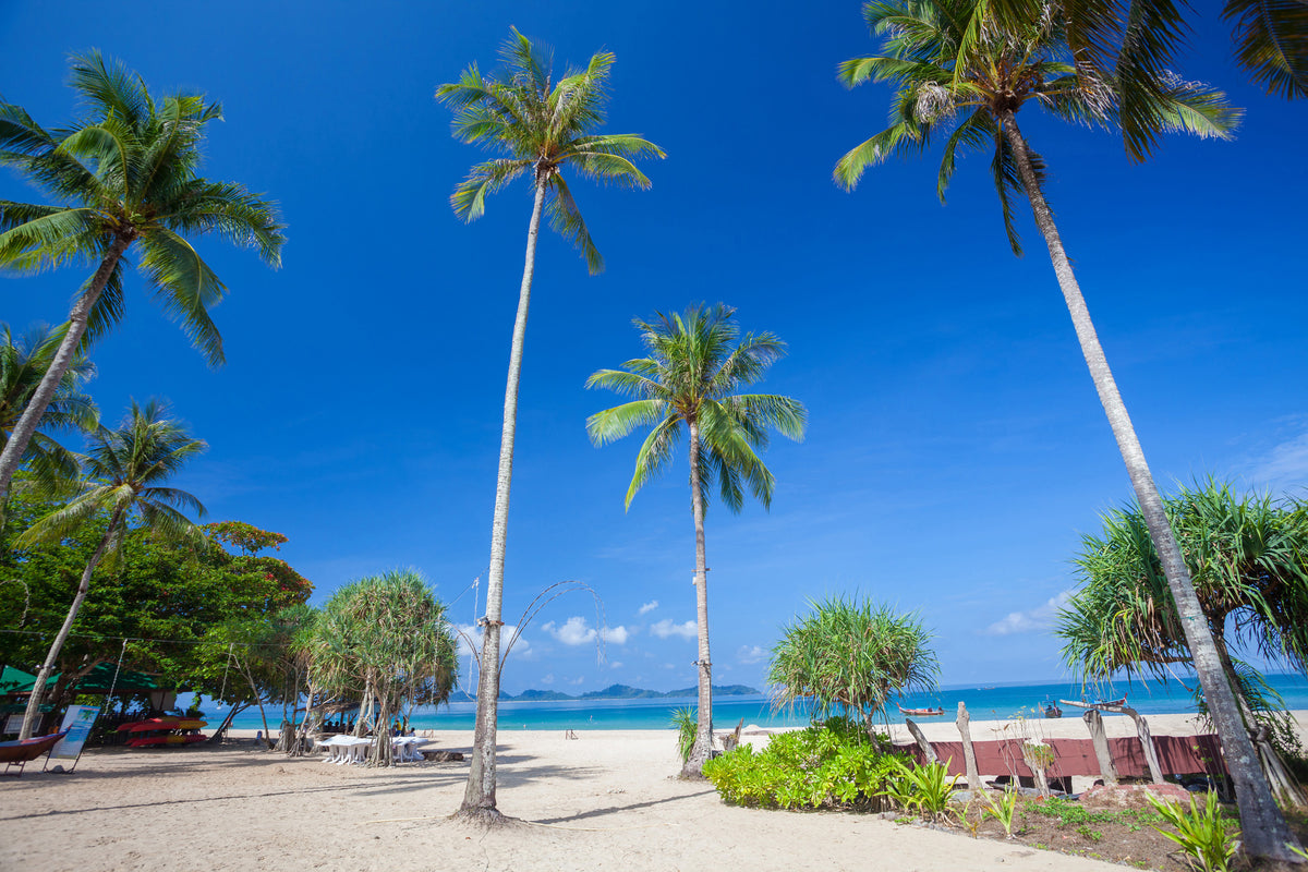 aluminium-print-summer-sun-beach