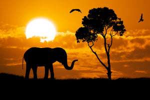 aluminium-print-dreamy-africa