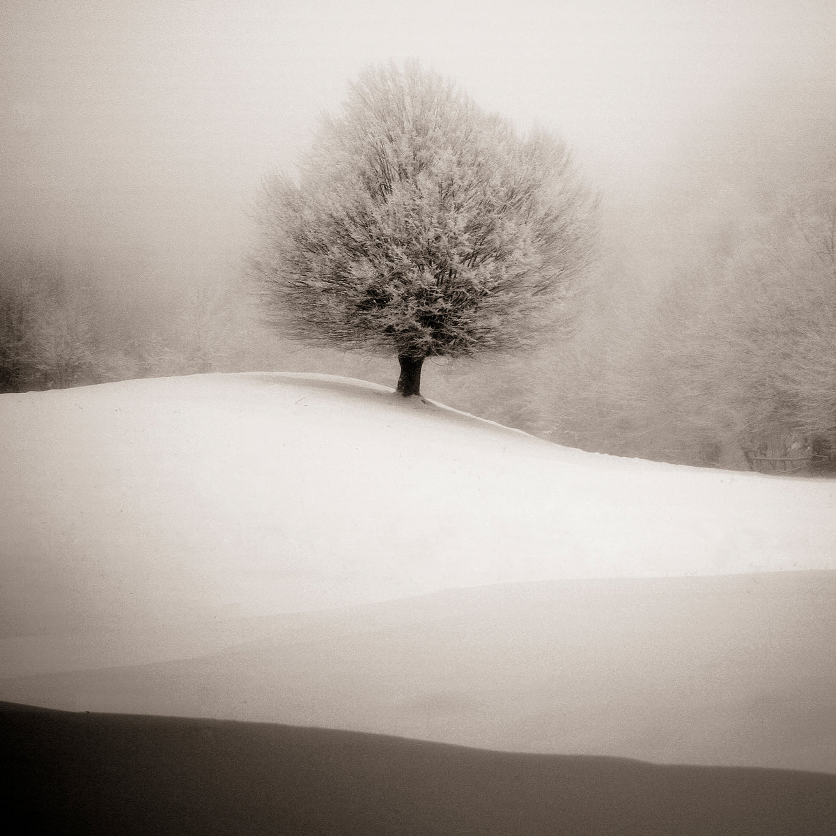 4-piece-acrylic-print-winter-degradee