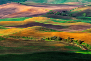 acrylic-print-the-palouse