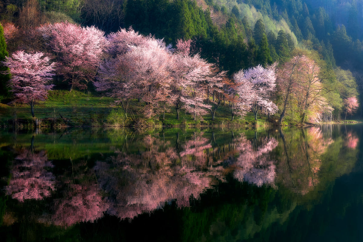 acrylic-print-another-world-xtm