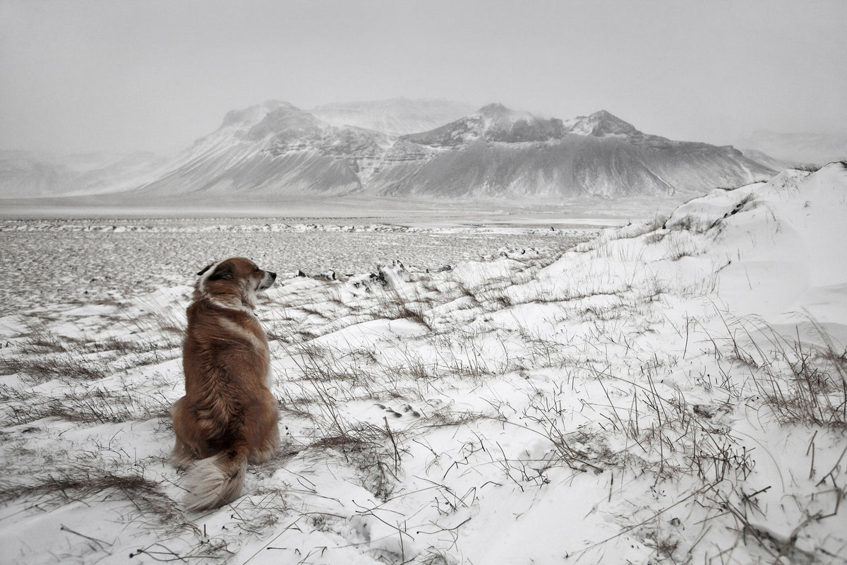 canvas-print-snowstorm-x