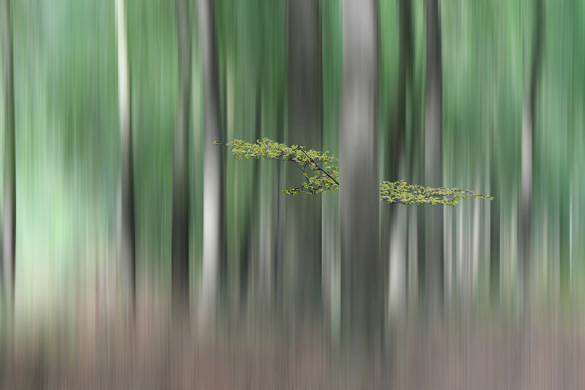 3-piece-aluminium-print-summermorning