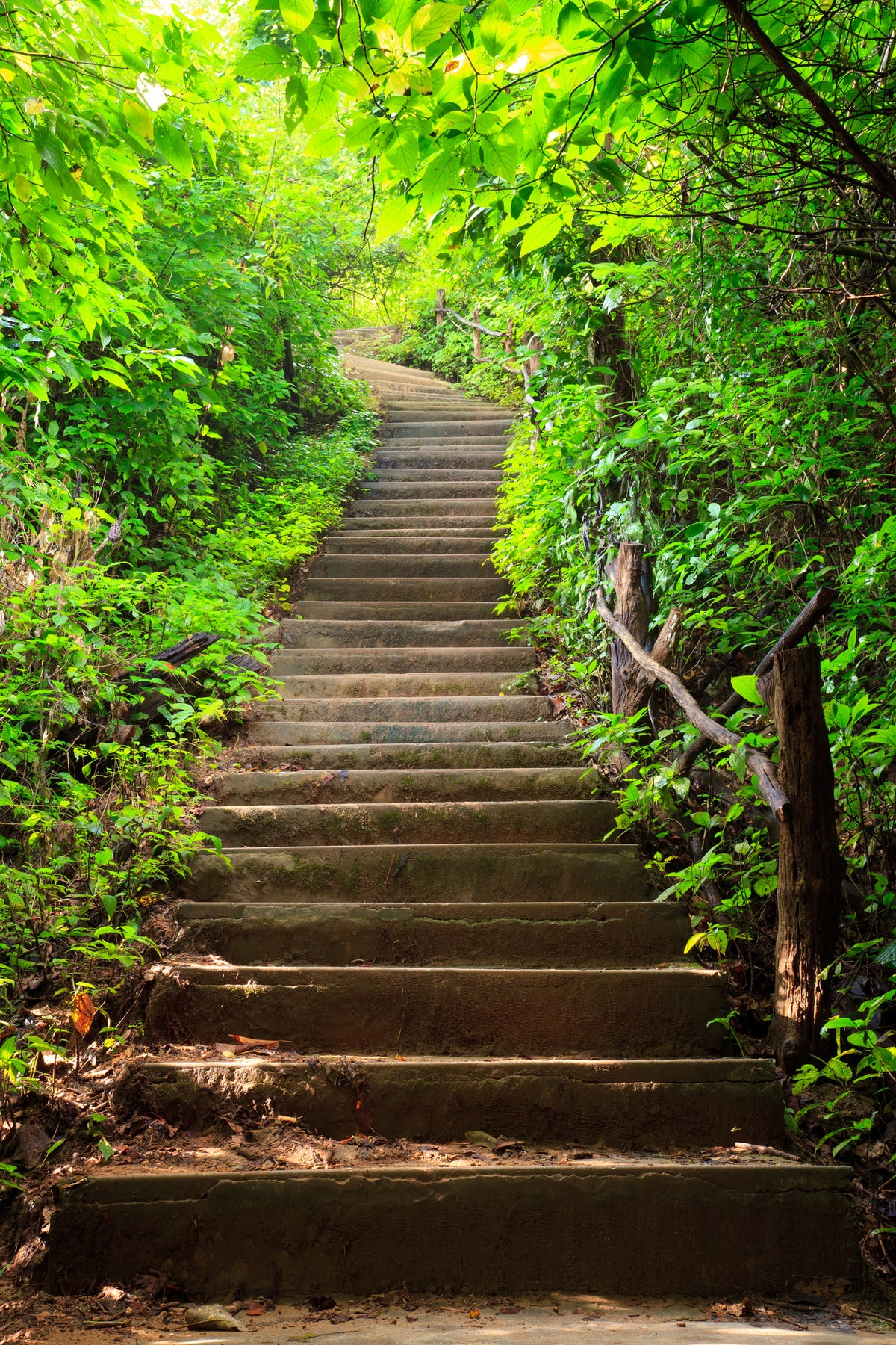 canvas-print-wood-stairs