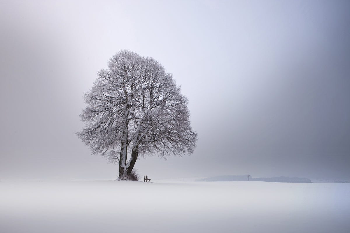 acrylic-print-winter-light-xpy