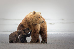 acrylic-print-family-time