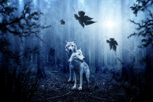 3-piece-aluminium-print-wolf39s-couple