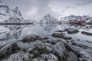 canvas-print-reine-x