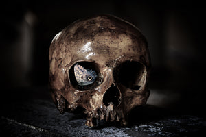 framedcanvas-print-the-skull