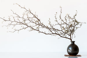framedposter-print-vase-and-branch-x