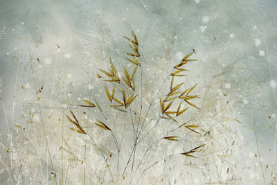 poster-print-wintertime-x