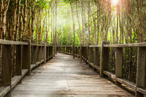 aluminium-print-wooden-bridge