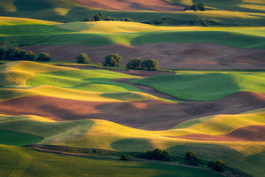framedposter-print-colorful-palouse-x