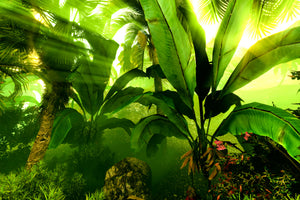 modern-3-piece-acrylic-print-sunrise-in-the-rainforest