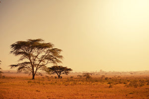 modern-3-piece-aluminium-print-pastures-in-kenya