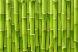 3-piece-aluminium-print-bamboo-wall