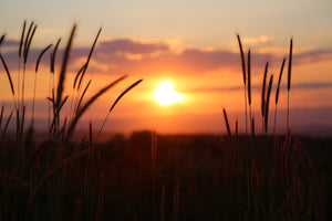 poster-print-adorable-sunset