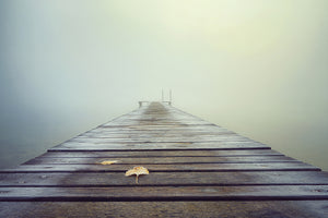 framedposter-print-cold-and-misty-morning-x