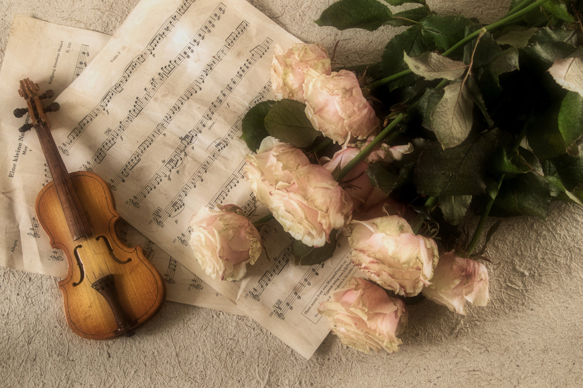3-piece-aluminium-print-the-violin