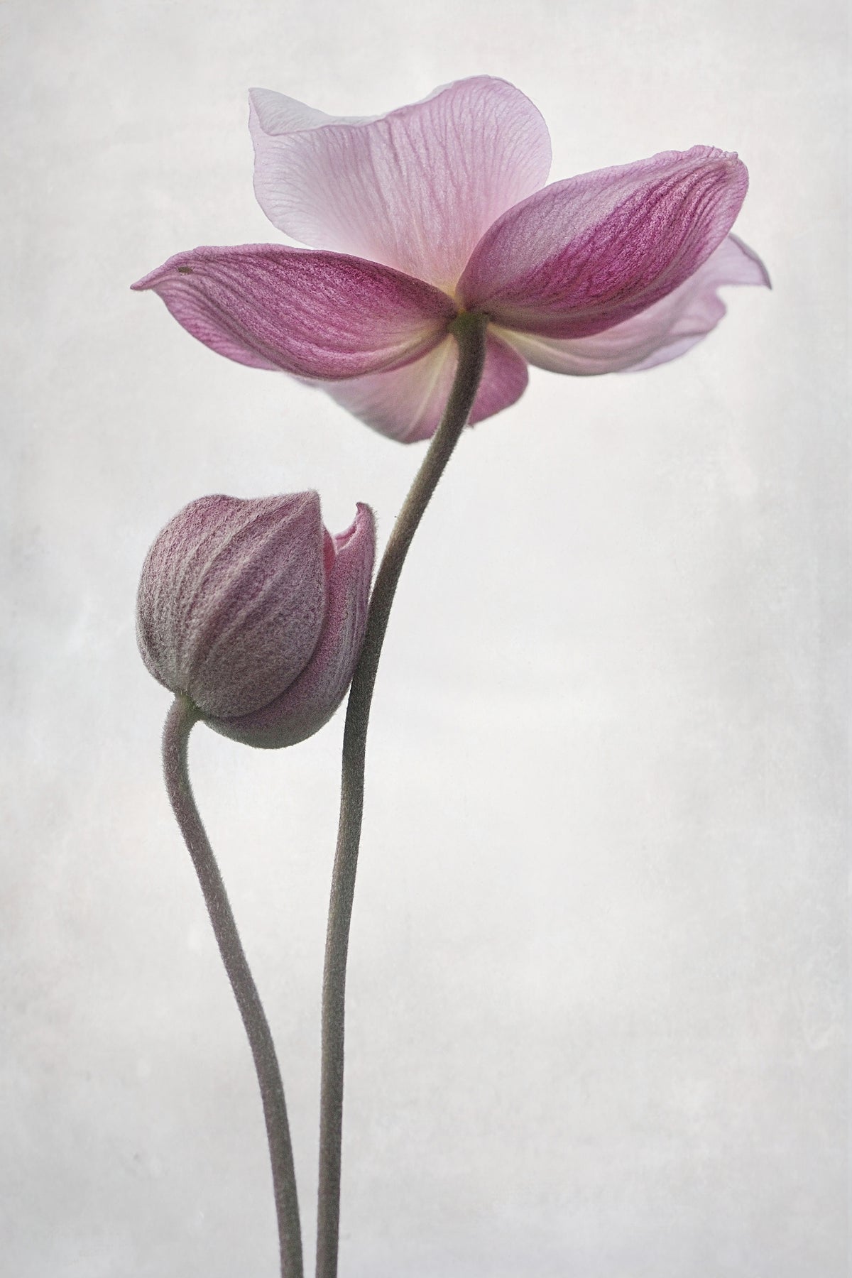 poster-print-a-little-touch-x