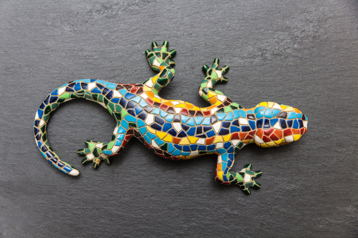 framedposter-print-colorful-gecko