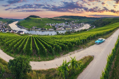 poster-print-moselle-bend-with-vineyards