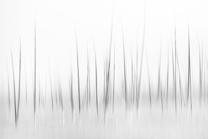 3-piece-aluminium-print-wintry-scenery-in-yellowstone