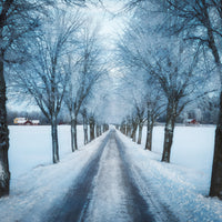 canvas-print-swedish-winter-x