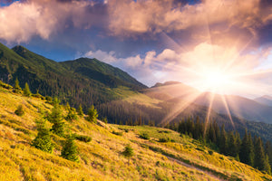 canvas-print-beginning-of-autumn