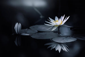 3-piece-aluminium-print-reflection-iv