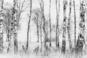 framedposter-print-black-and-white