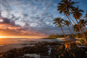 poster-print-return-to-paradise