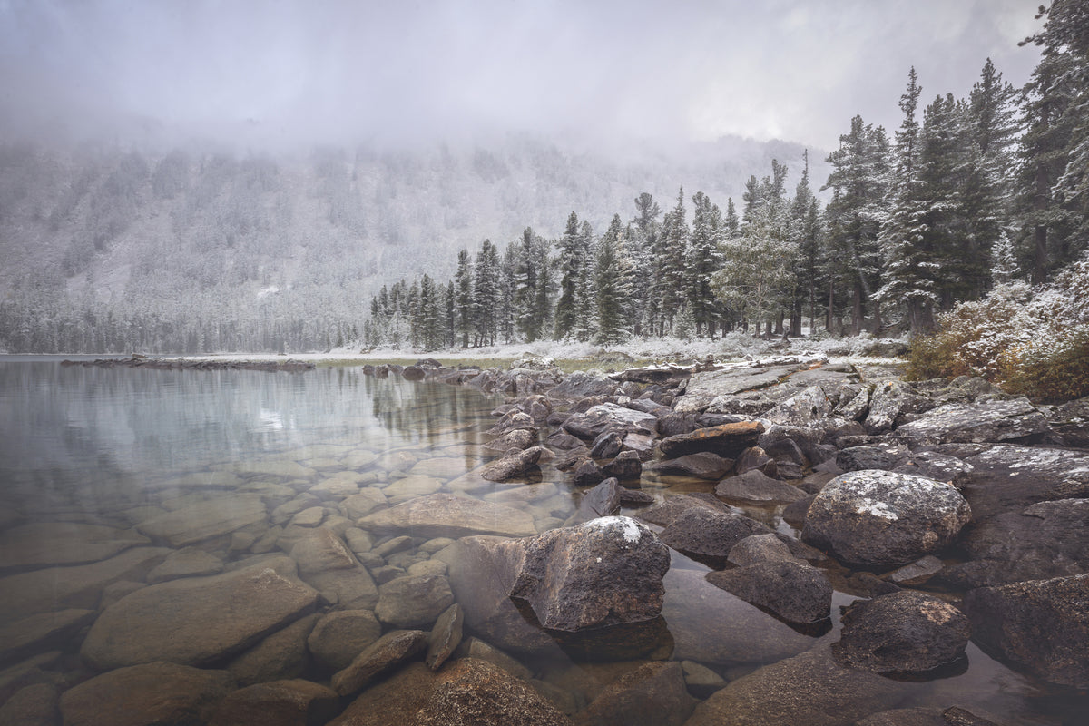 3-piece-canvas-print-winter