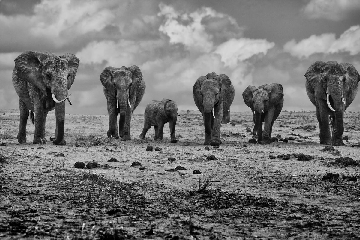 aluminium-print-big-family