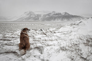 aluminium-print-snowstorm-x