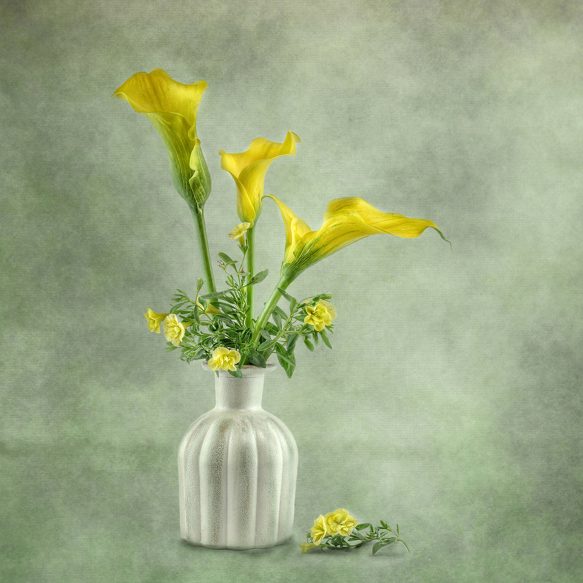 9-piece-canvas-print-calia-lillies