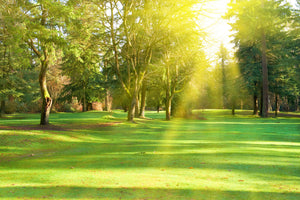 3-piece-aluminium-print-in-the-park