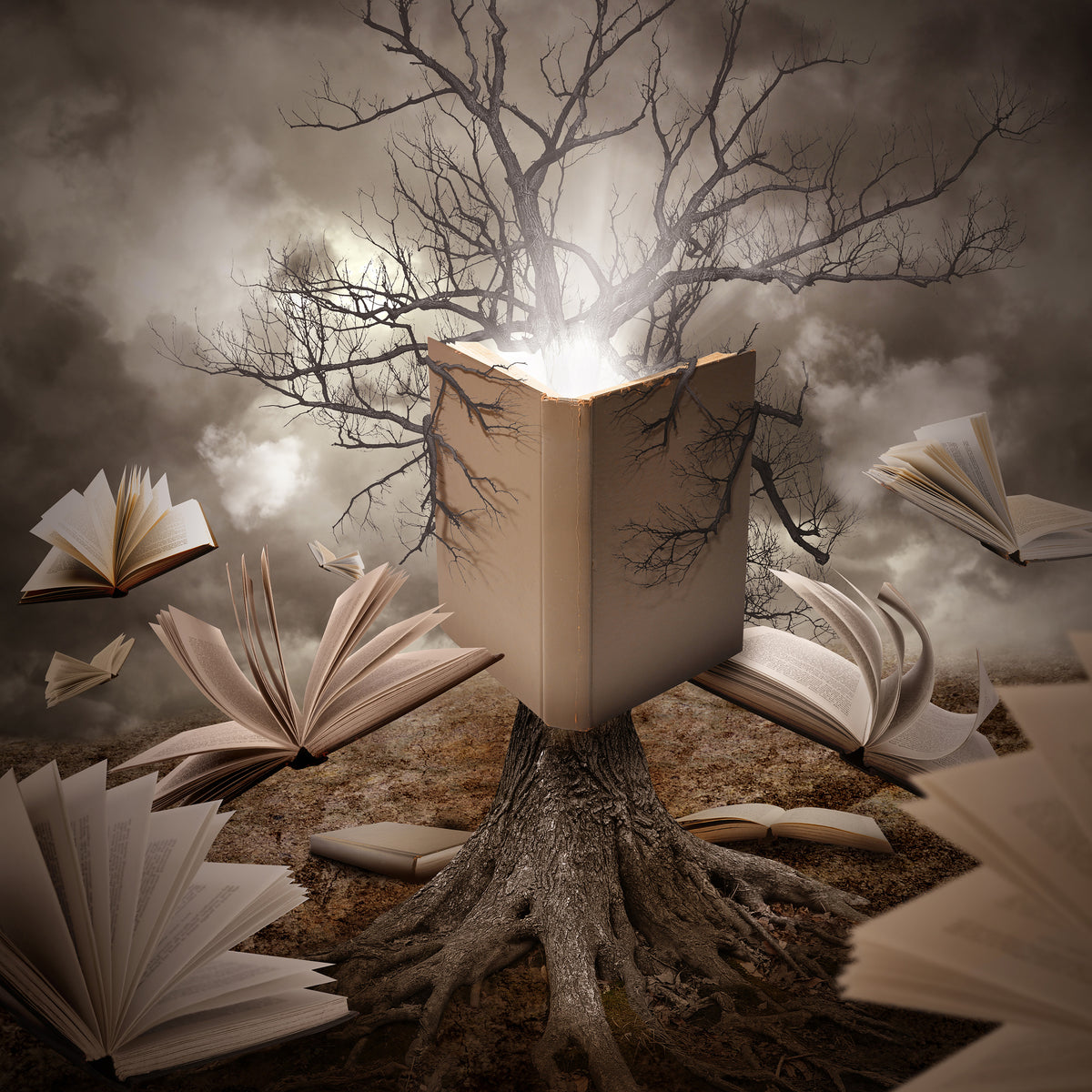 acrylic-print-old-tree-reading-story-book-x
