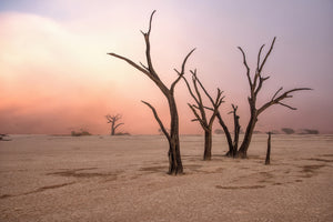 modern-3-piece-canvas-print-fog-in-deadvlei