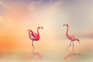 canvas-print-romantic-flamingos