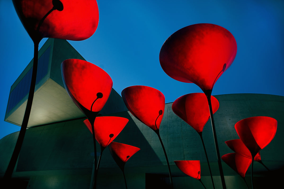 framedcanvas-print-maxxi-museum-x