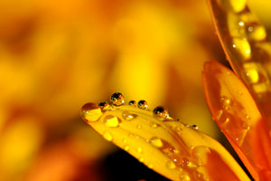 modern-3-piece-aluminium-print-drops-close-up