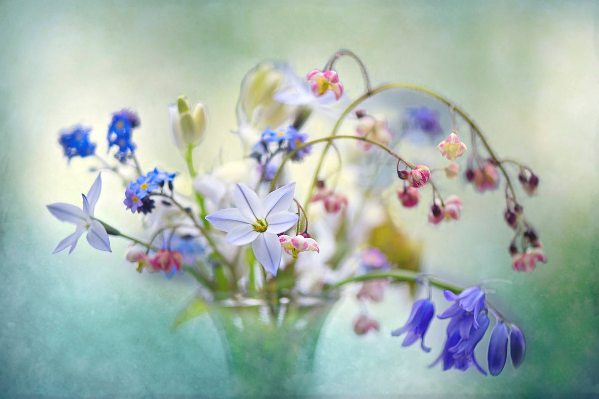 framedcanvas-print-spring-treasures-x