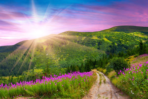 modern-3-piece-canvas-print-a-summer-landscape-at-sunrise