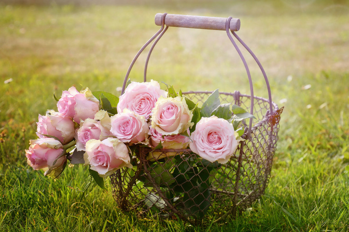 framedposter-print-a-basket-full-of-roses