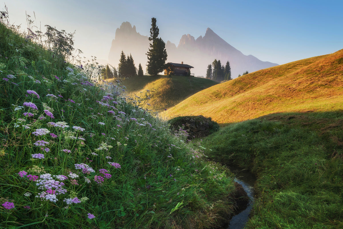 poster-print-flowery-morning-x