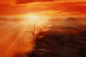 canvas-print-colorful-landscape
