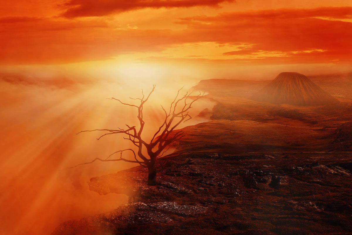 canvas-print-colorful-landscape